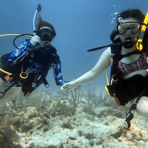 Dive